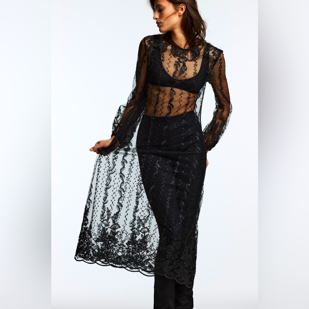 BLOGGER FAV ZARA EMBROIDERED SEMI-SHEER DRESS SIZE L
